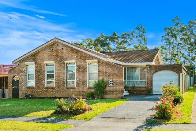 29 Ben Lomond Street, NSW 2176