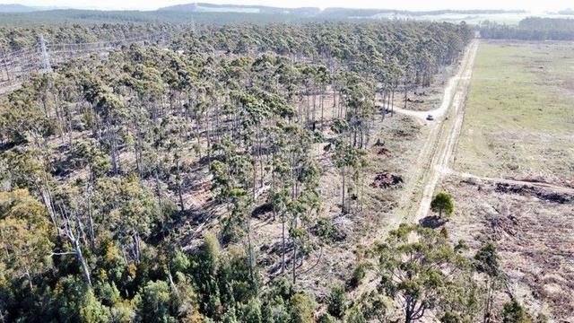 2/275 Smith And Others Road, TAS 7307