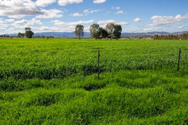 1480 Oxley Highway, NSW 2340