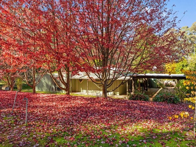 684 Tames Road, VIC 3666