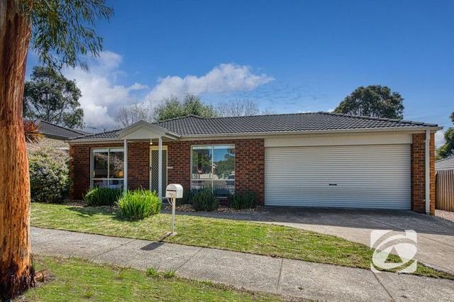 43 Tralee Circuit, VIC 3805