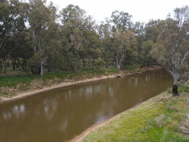 303 North Condobolin Road, NSW 2871