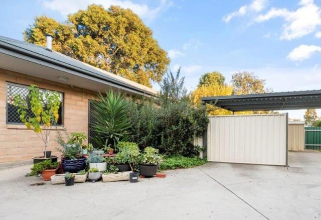 206B Olive Street, NSW 2640