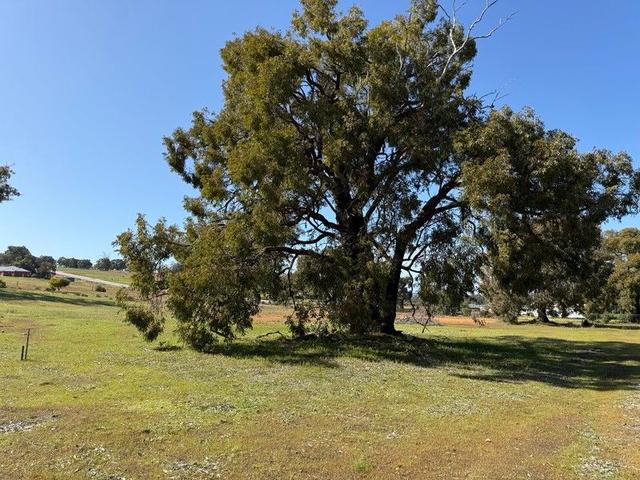 53 Sunburst Rise, WA 6084