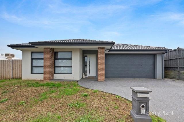 13 Cyathea Street, VIC 3818