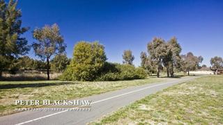 Bike path (2010-08-27)