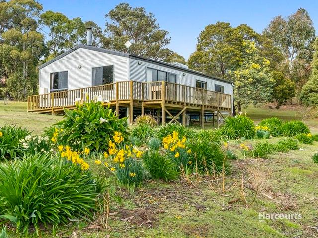 19 Mountain Place, TAS 7140