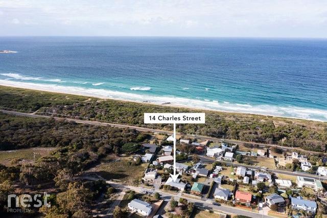 14 Charles Street, TAS 7215