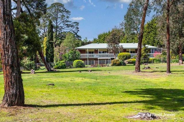 175 Clegg Road, VIC 3796