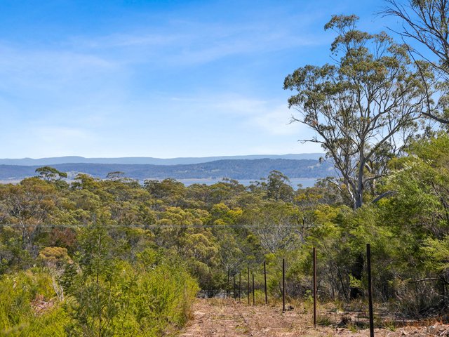 1297 Coles Bay Road, TAS 7215