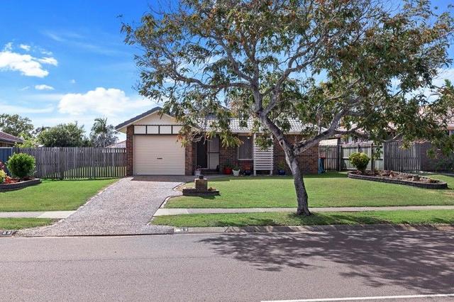 53 Ibis Boulevard, QLD 4655