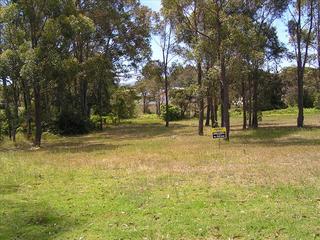 Main Photo