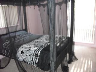 Bed 1 (2013-03-25)