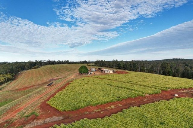 63 Griggs Road, QLD 4660