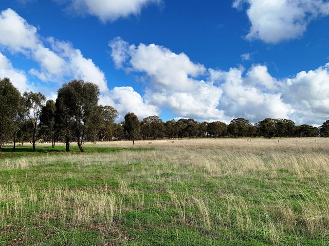 (no street name provided), VIC 3561