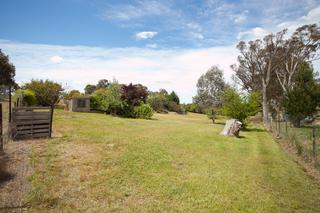 Backyard (2013-08-14)