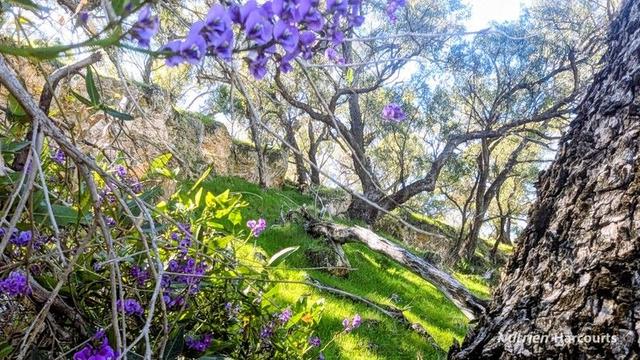 Lot 51 Millbank Road, WA 6503