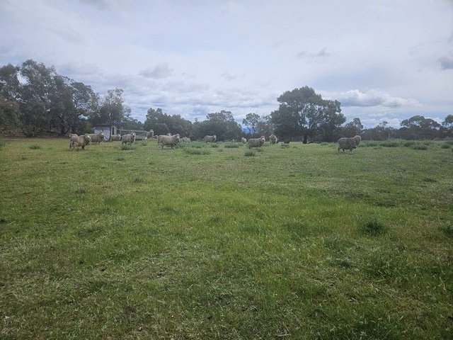 2/null Gordon Street, TAS 7190