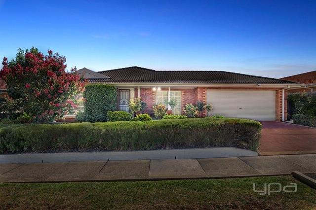 313 Coburns Road, VIC 3337