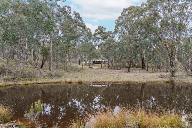 543 Clarkes Creek Road, NSW 2850