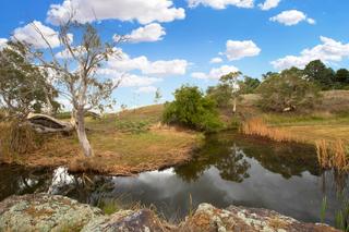 Waterhole