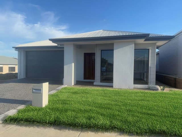 42 Olearia Street, QLD 4506