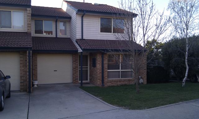 24/3 Everard Street, ACT 2913