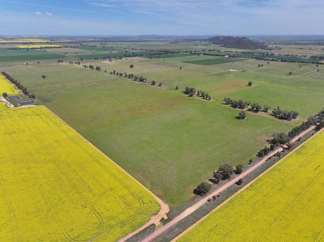 100 Tauntons Road, NSW 2594