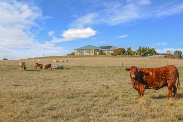 1525 Trunkey Road, NSW 2795