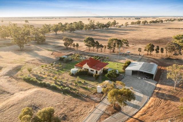 384 Charlton-Borung Road, VIC 3518