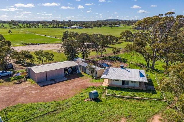 267 Long Street, WA 6510