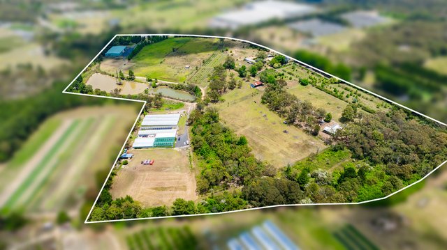 1583 Peats Ridge Road, NSW 2250
