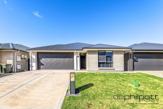 29 Audrey Avenue, SA 5117