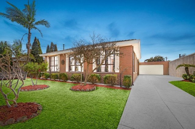 11 Cinerea Avenue, VIC 3156
