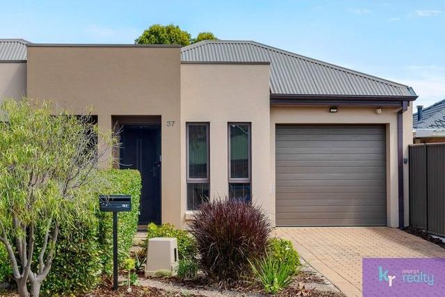 37 Waterman Terrace, SA 5043