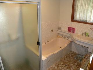 Bathroom (2010-10-29)