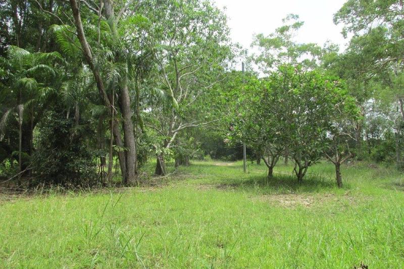 35 Cypress Road, Humpty Doo NT 0836 - Rural for Sale 