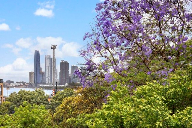 66/24 Buchanan Street, NSW 2041