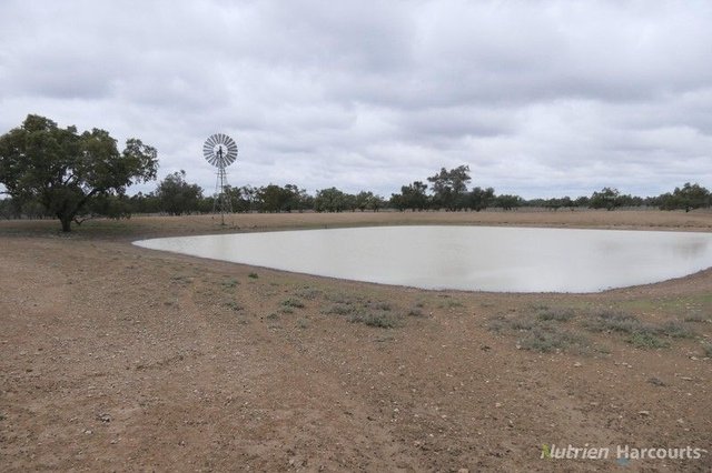 * Tichawanta, NSW 2839