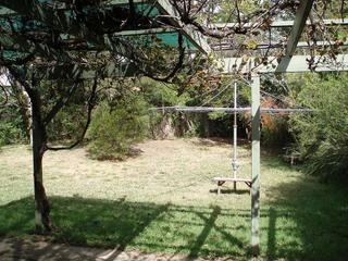 Backyard (2008-04-08)