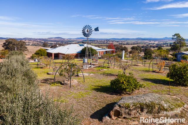 6054 Holbrook Road, NSW 2650