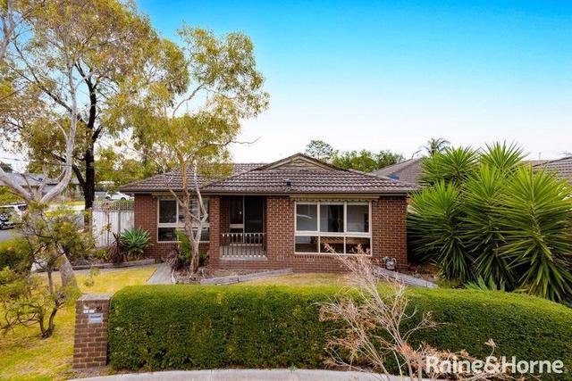 19 Evelyne Avenue, VIC 3977