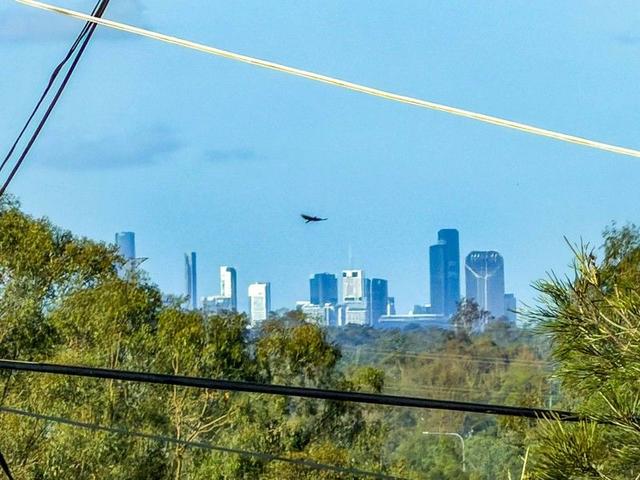 24 Drysdale Avenue, QLD 4301