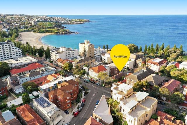 3/285 Arden Street, NSW 2034