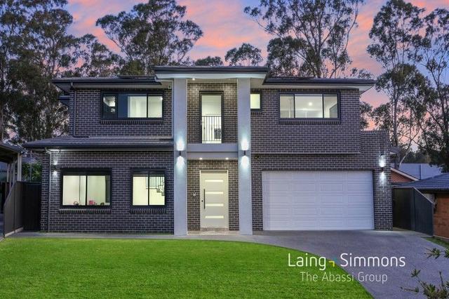 11 Cobbler Crescent, NSW 2770