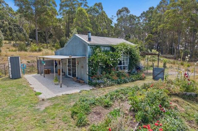 221A Ginns Road, TAS 7303