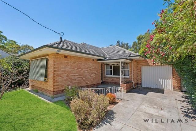 3 Chippendale Avenue, SA 5024