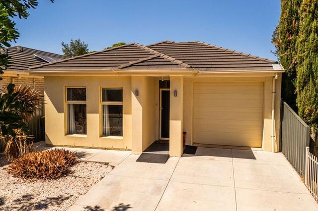 35 Harbrow Grove, SA 5047