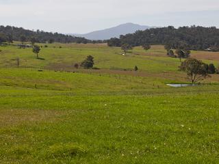 Land with Views