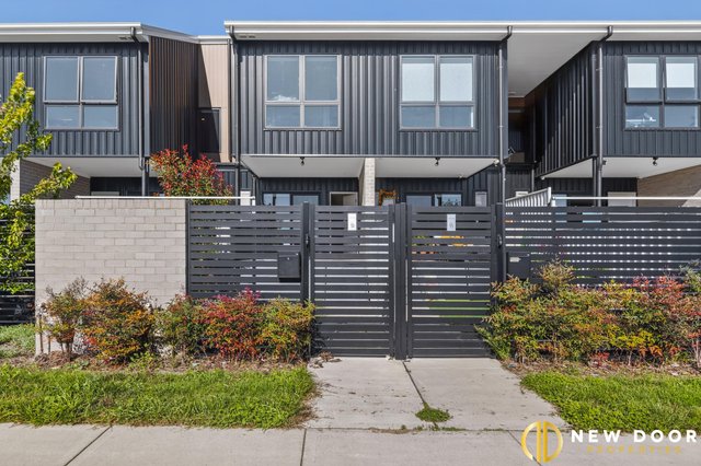 13 Dragon Street, ACT 2914